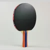 Espesor de esponja Raqueta Butterfly Ping