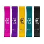 Banda resistencia multi nivel Everlast 5 piezas