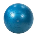 Bola Everlast Entrenamiento 75cm Pilates Yoga - Deportes Jimmy Panamá