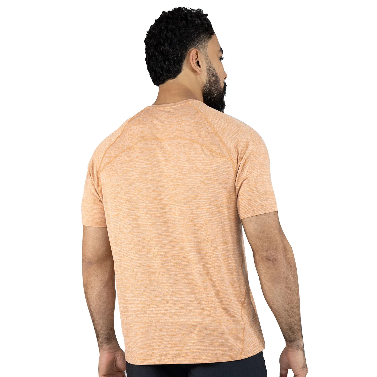 diseño moderno del t-shirt everlast spandex