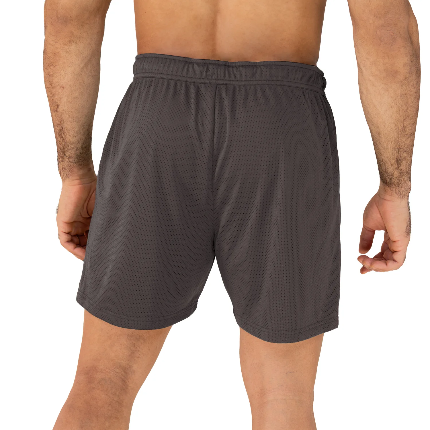 Short Hombre Everlast Varsity 5 Pulgadas Gris