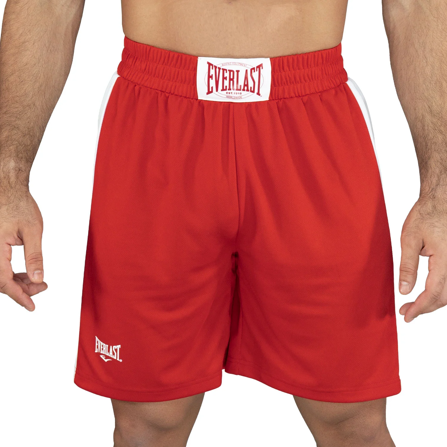 Shorts de boxeo Men Poliéster Everlast Mesh Champ