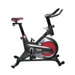 Bicicleta Spinning Ajustable Everlast Profesional