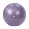Bola de Ejercicio Everlast Inflable 55cm Pvc - Thumbnail Image 1