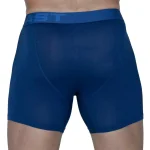 Boxer Everlast Gravity Modal