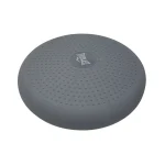 Disco Inflable Everlast Equilibrio Estabilización Pvc
