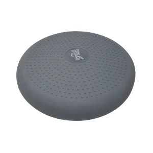 Disco Inflable Everlast Equilibrio Estabilización Pvc