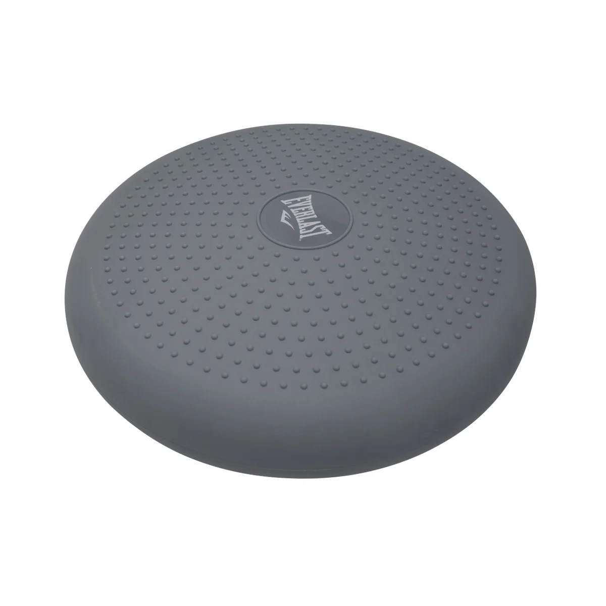 Disco Inflable Everlast Equilibrio Estabilización Pvc