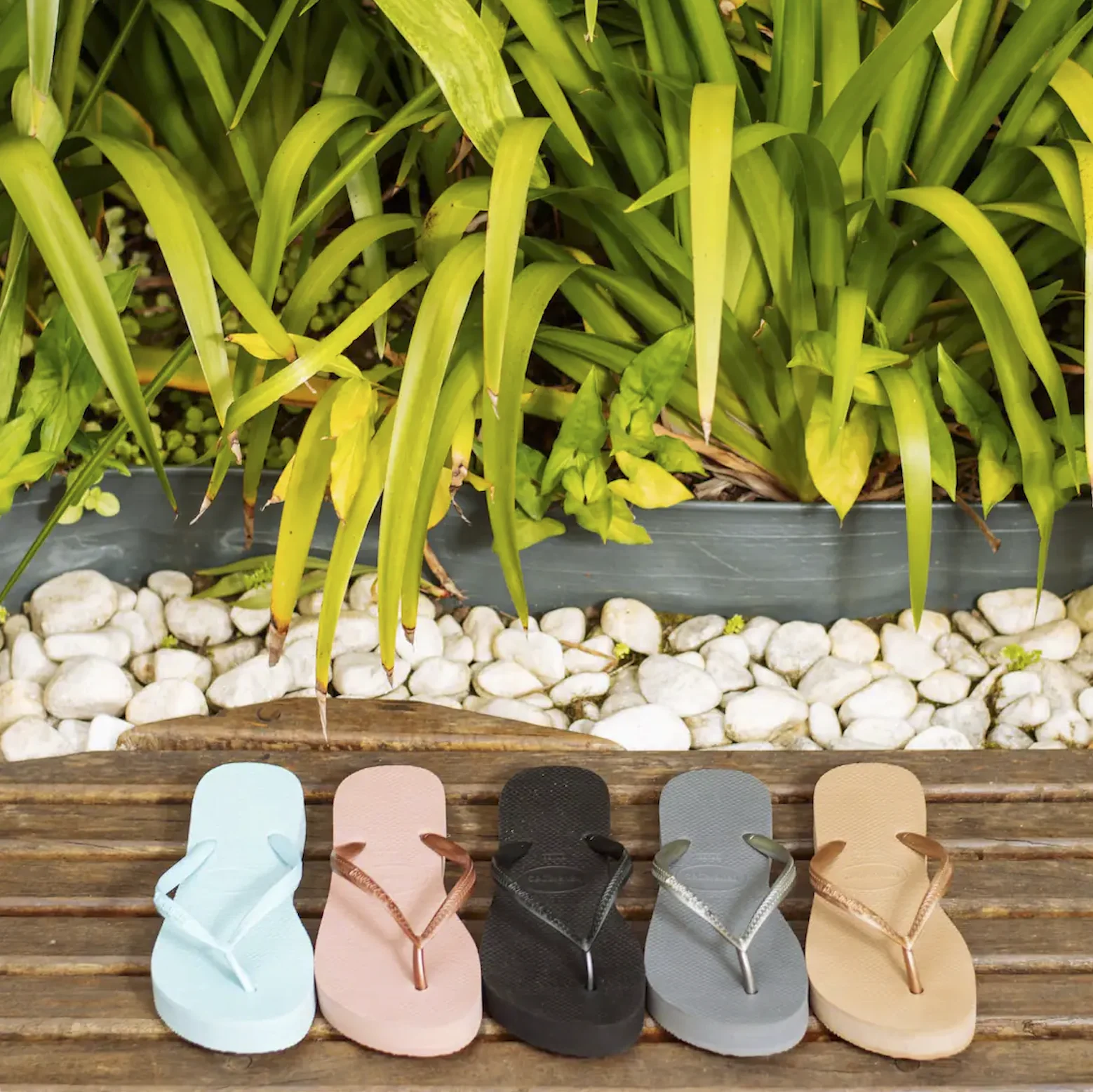 Prueba de Productos Havaianas.