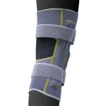 RUEDA ABDOMINAL