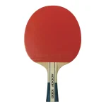 Raqueta Tenis Mesa Butterfly 220gr Madera