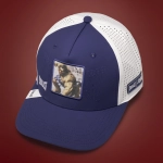 Gorra Everlast Street Fighter Moves E. Honda Azul