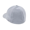 Gorra Everlast gris con visera curva