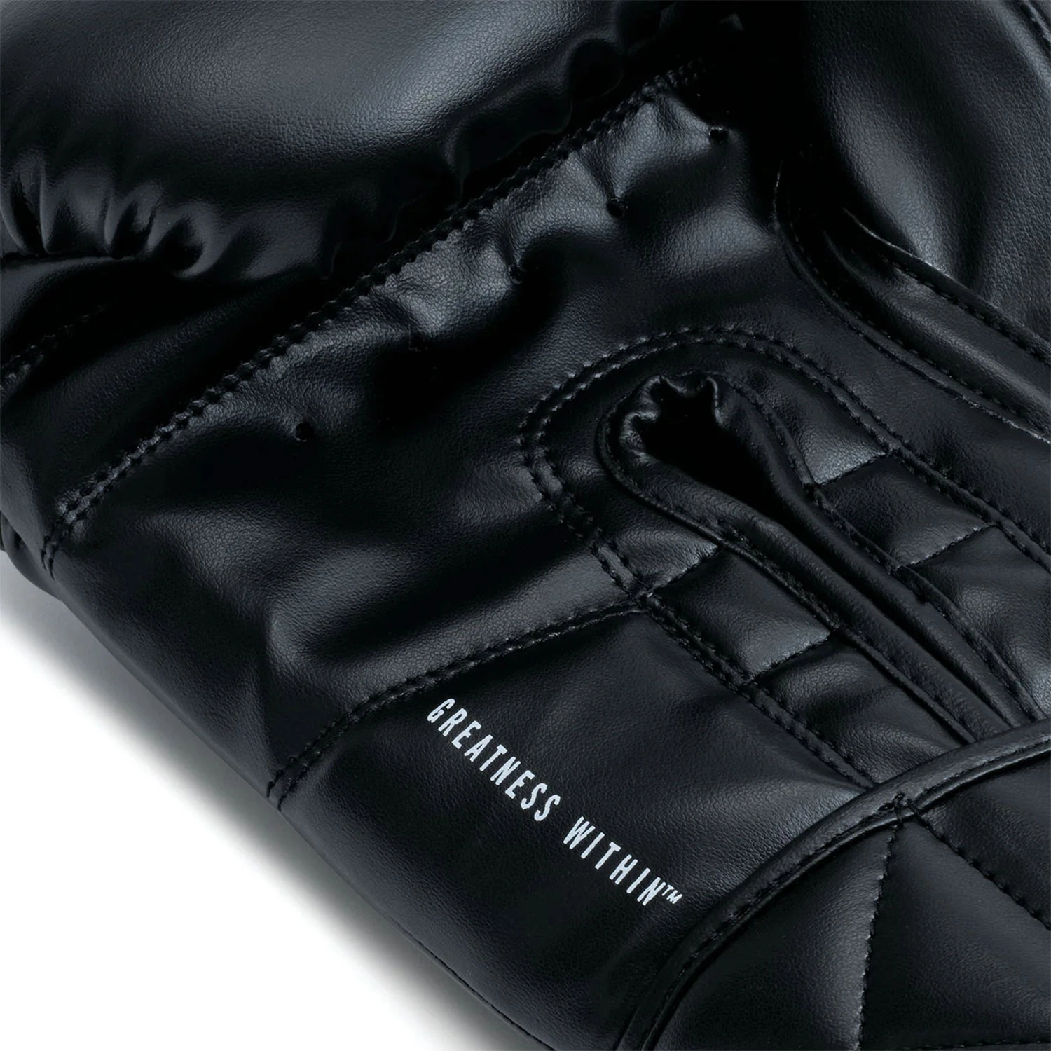 Guantes de Boxeo Everlast Classic - Imagen 4
